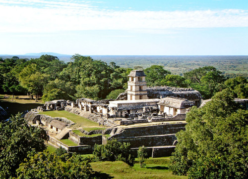 El Palacio And Coastal Plain at Palenque
