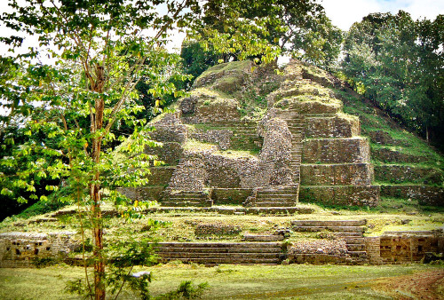 Jaguar Temple at Lamanai