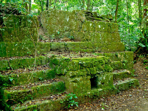 A Temazcalli (Steam or Bath House) from Tikal