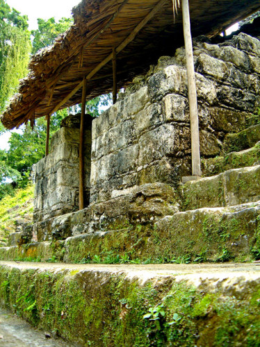 Fig. W0830: The Skulls from Structure 5D-87 at Tikal