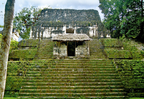 The Temple of Skulls, Structure 5D-87, at Tikal