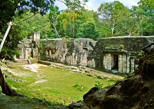 Tikal Group G