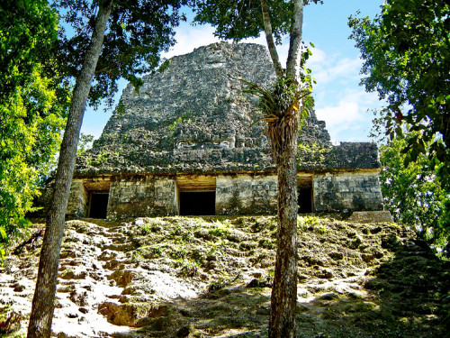 Temple of Inscriptions (Templo VI), at Tikal