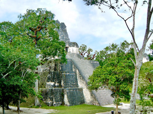 The Templo Del Mascaras (Templo II), from Tikal