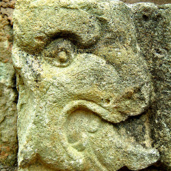 Animal Glyph on the Temple of Inscriptions at Copan