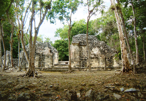 Chicanna Structure XI