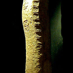 A Serpentine Stele from Tortuguero known as Monument 2