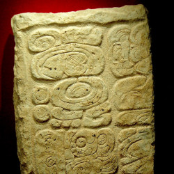 Mayan Glyphs from a fragment of a stele