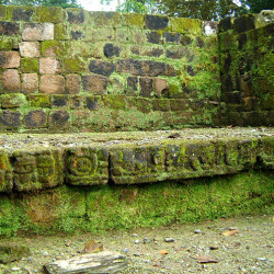 Step within Structure 1B-1 at Quirigua