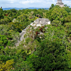 On top of Great Pyramid at Tikal, looking North West to Temple IV