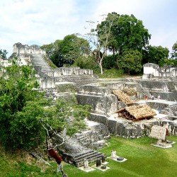North Acropolis at Tikal