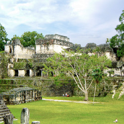 The central acropolis at Tikal