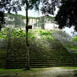A temple from Group H, Tikal
