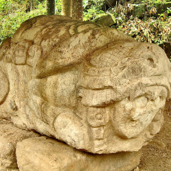 Zoomorfo N at Quirigua