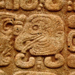 Glyph from the left of Stela J at Quirigua
