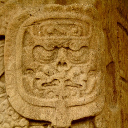 Close up of a bird-god from Stela K at Quirigua