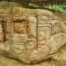 Left side of Zoomorfo B at Quirigua