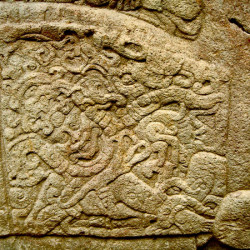 Close-Up of Left Glyph on Zoomorfo B at Quirigua