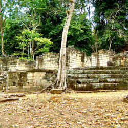 Structures 32 and 33 in Copan's El Cementario Area