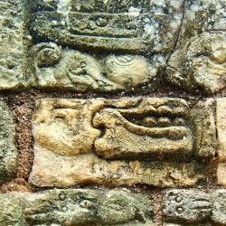 Carving on Temple of Inscriptions at Copan