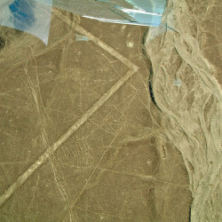The Whale at the Nasca Lines