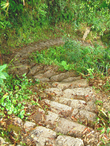 Stairway on the Inca Trail