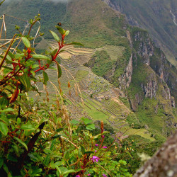 View from Huayna Picchu at Machu Picchu